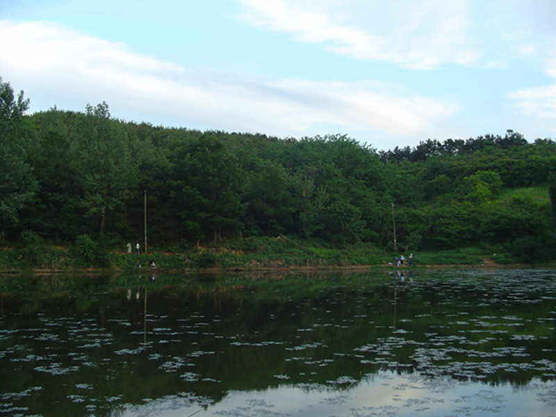 Dsc00292.jpg