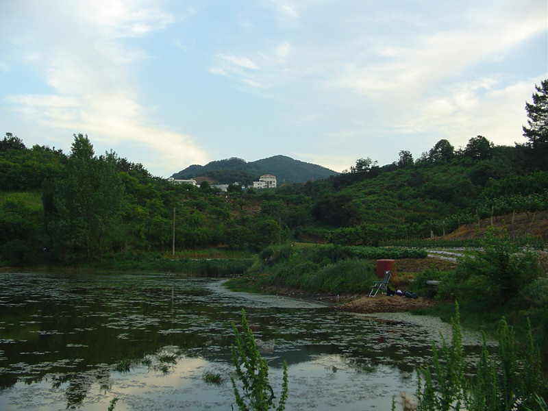 Dsc00293.jpg