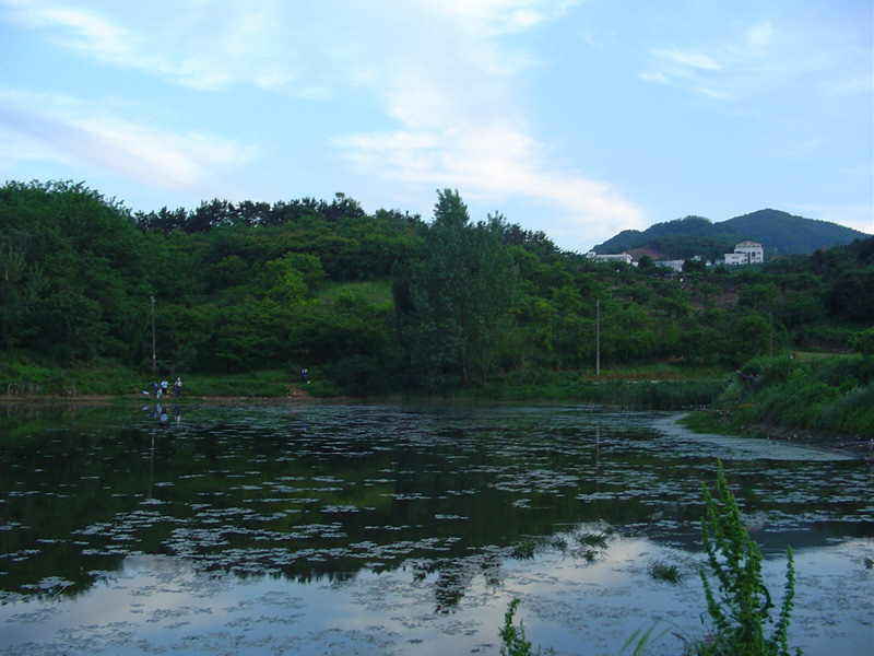 Dsc00294.jpg