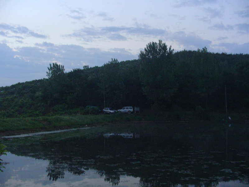 Dsc00298.jpg