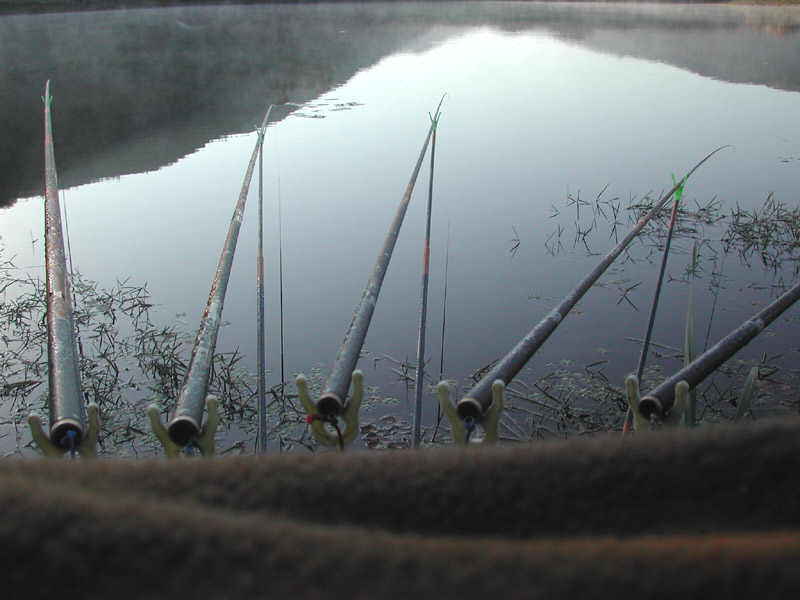 a7.jpg