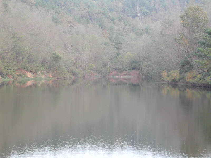 a6.jpg