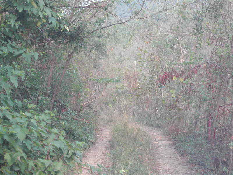 a7.jpg