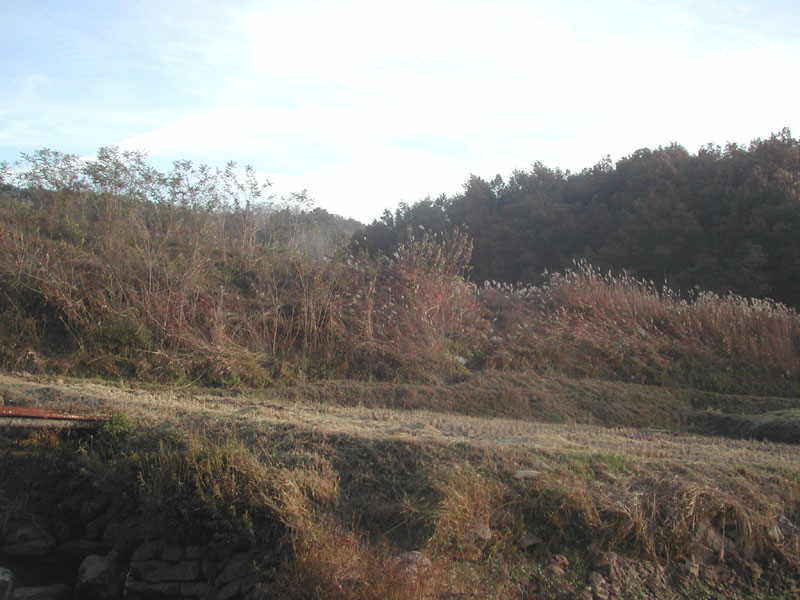 a4.jpg