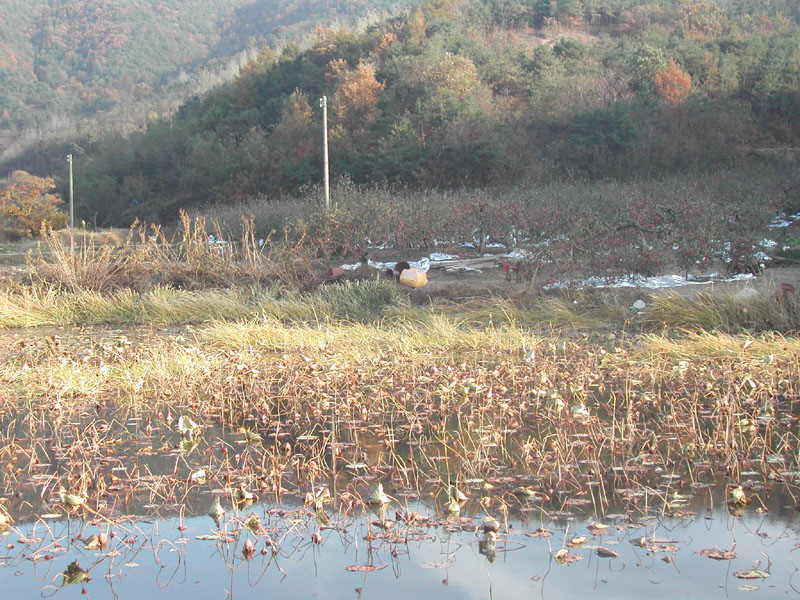a7.jpg