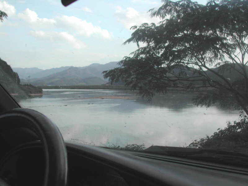 dm020.jpg