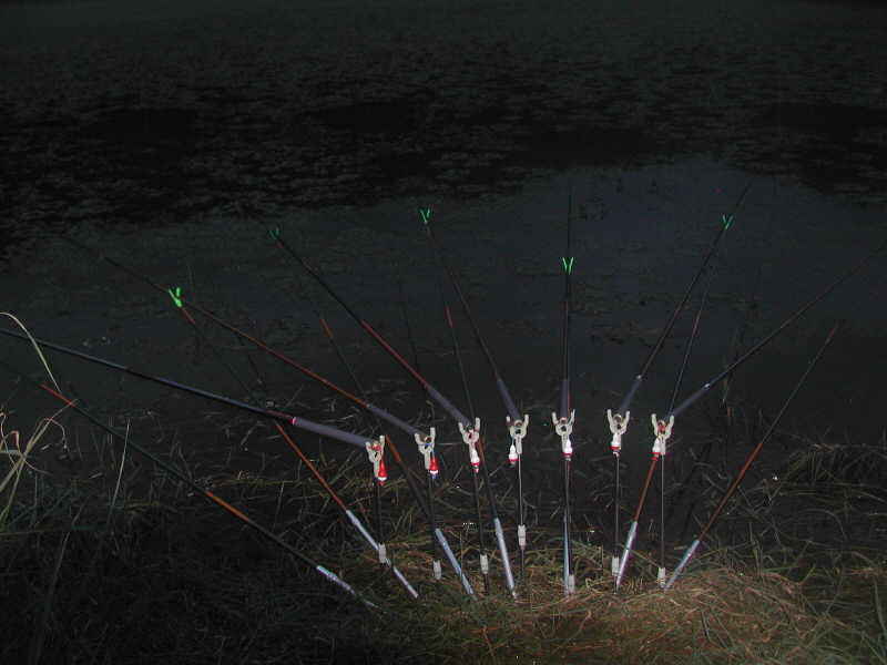 dm036.jpg