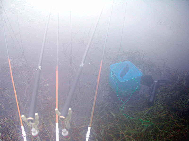 dm097.jpg
