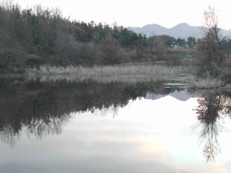 a4.jpg