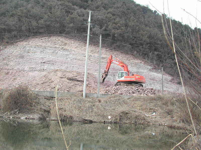 a11.jpg