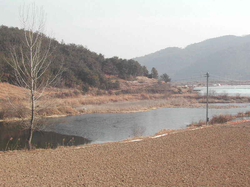 a6.jpg