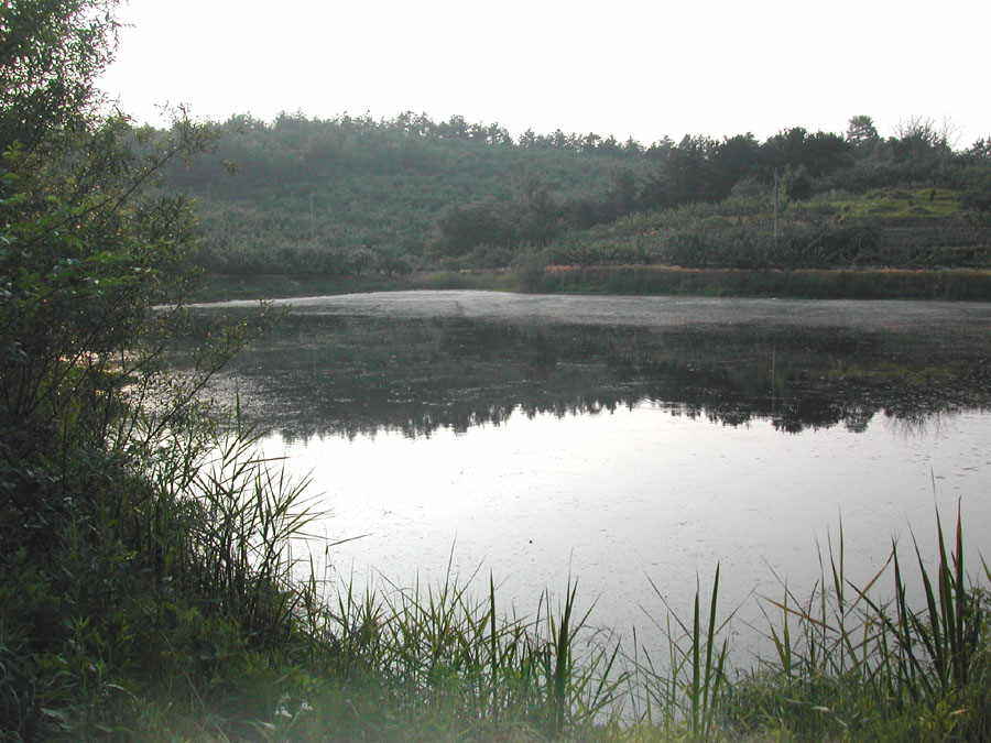 a4.jpg