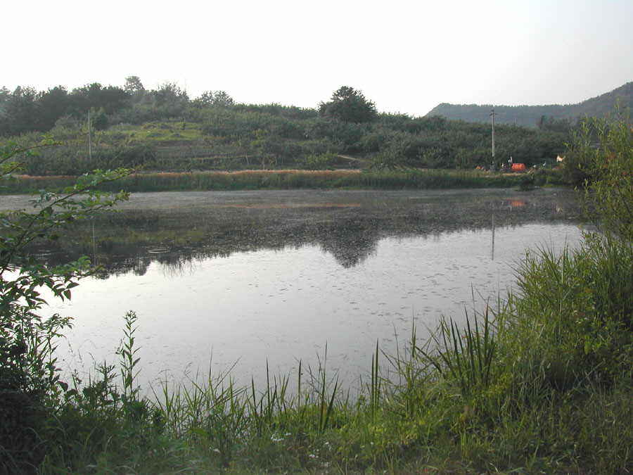 a5.jpg