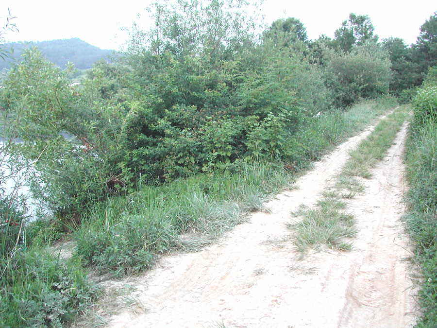 a9.jpg