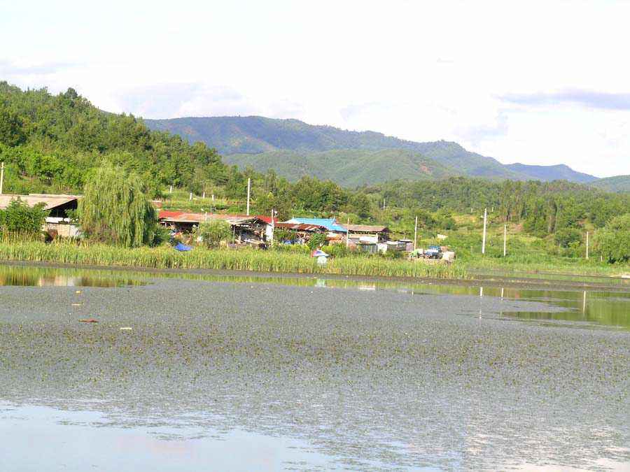 a63.jpg