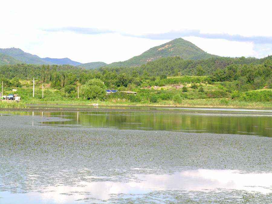 a67.jpg