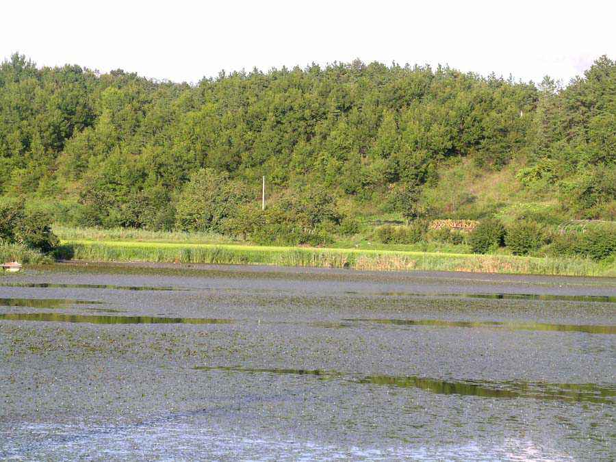 a71.jpg