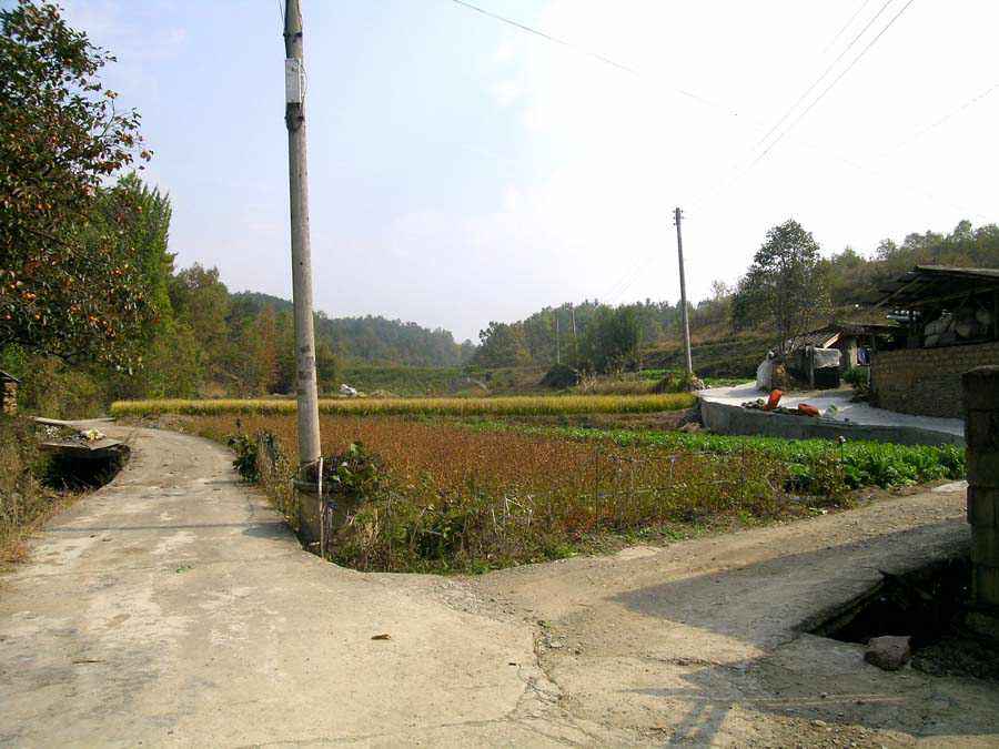 a22.jpg
