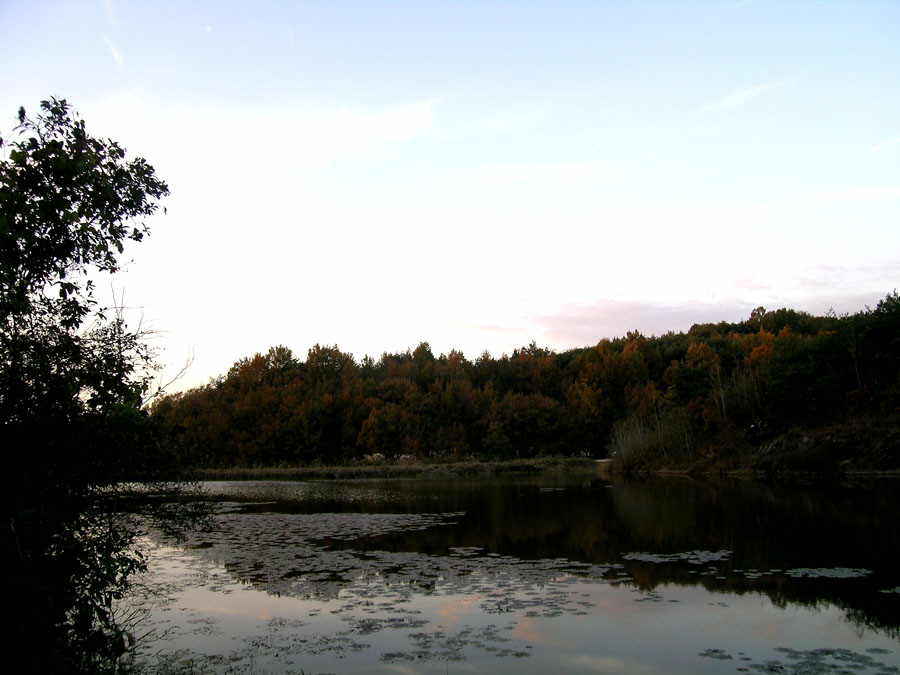 a19.jpg