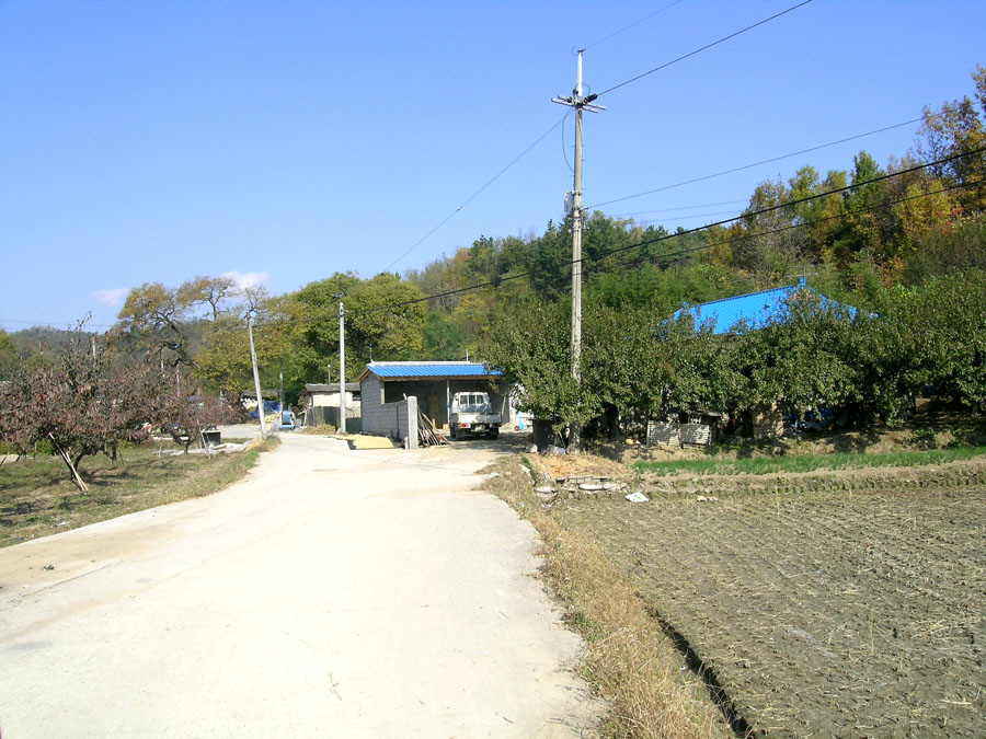 a1.jpg
