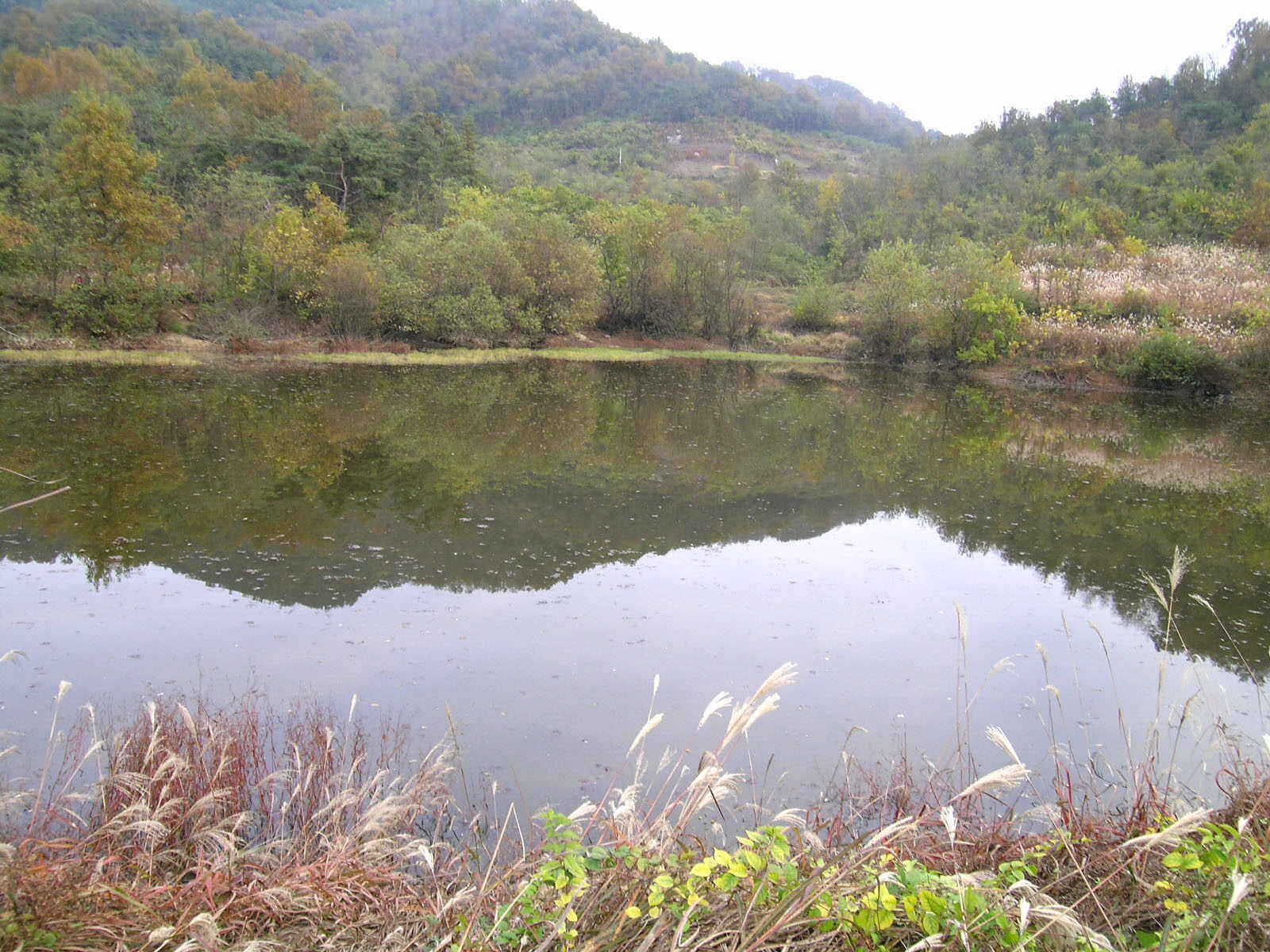 무순