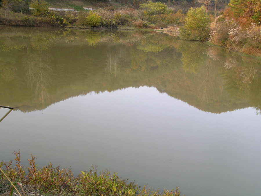 a8.jpg