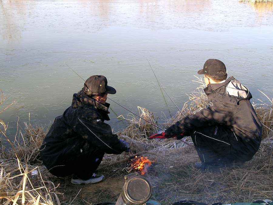q14.jpg