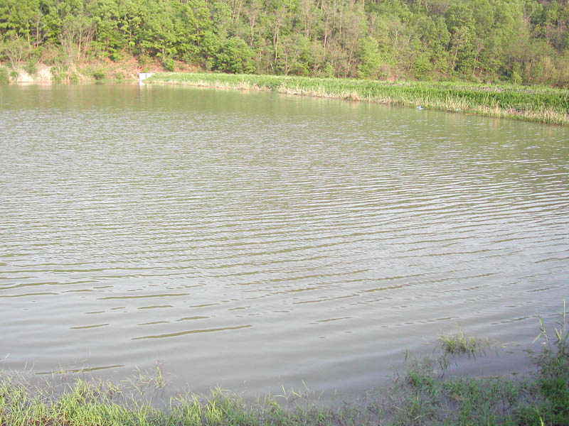 gwanghyenji1.jpg