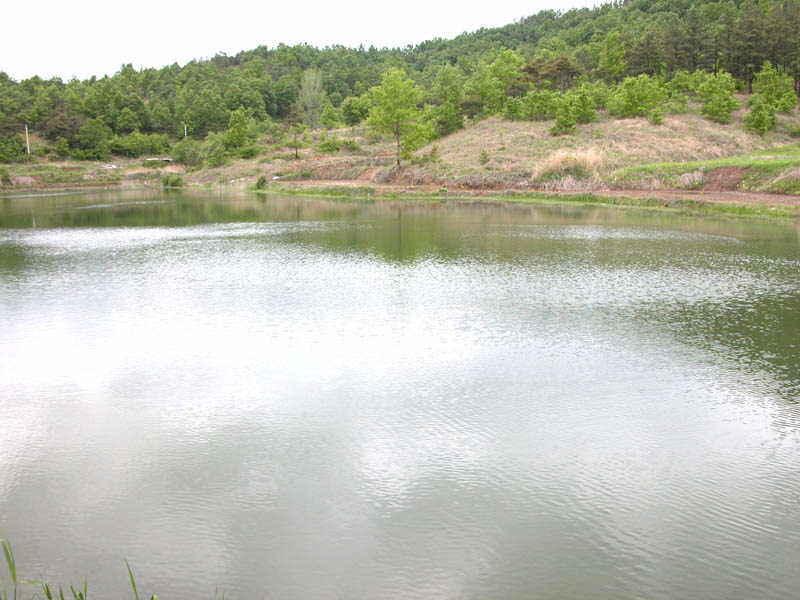 gyodongji2.jpg