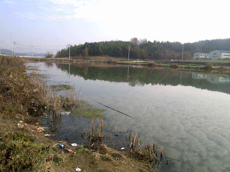 gwandongji1.jpg