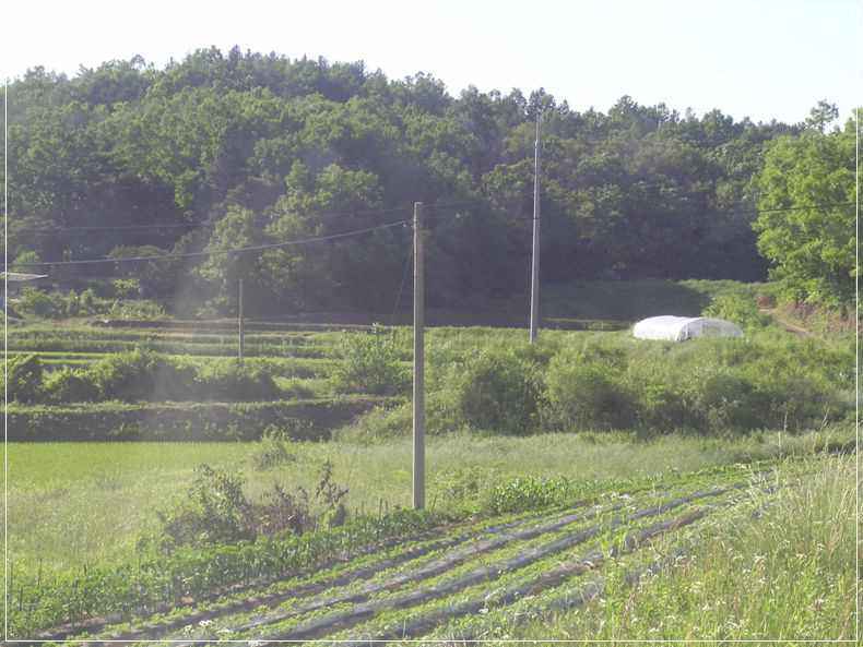 a01.jpg