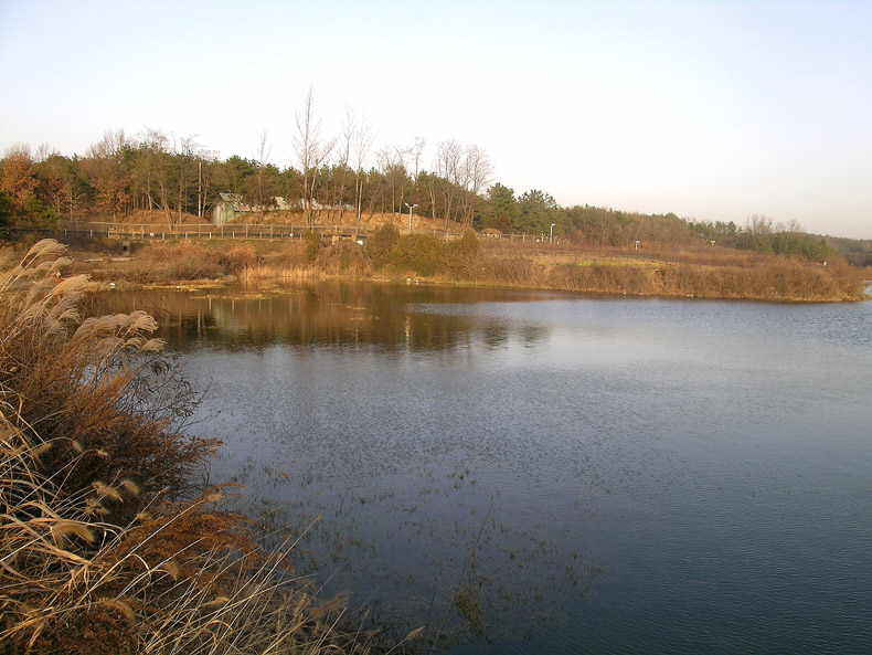 a9.jpg