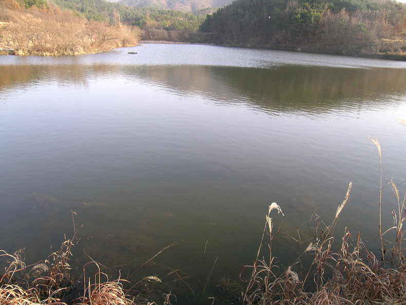 b3.jpg