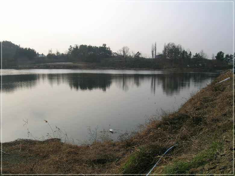 a01.jpg