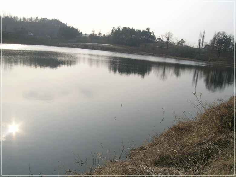 a03.jpg