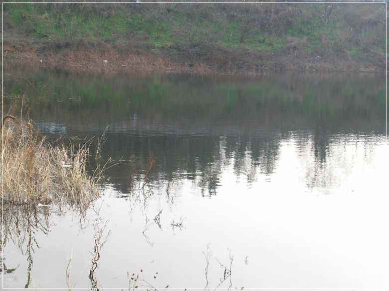 a06.jpg