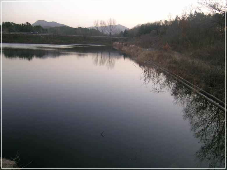 a08.jpg