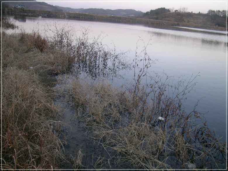 a11.jpg