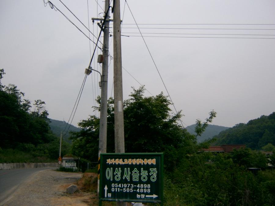 SV400005.JPG