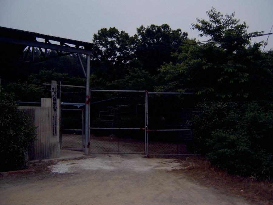SV400007.JPG