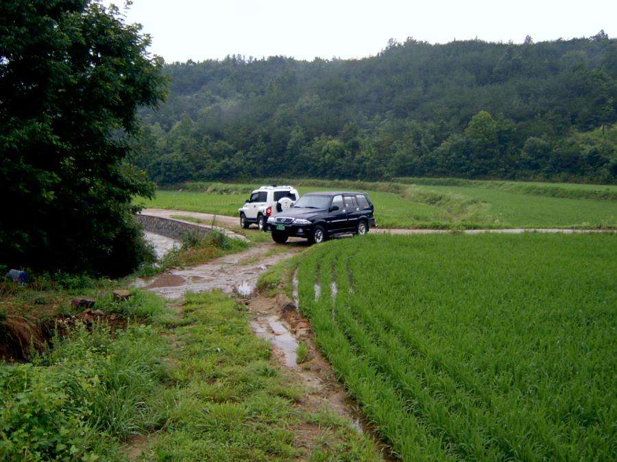 SV400003.JPG