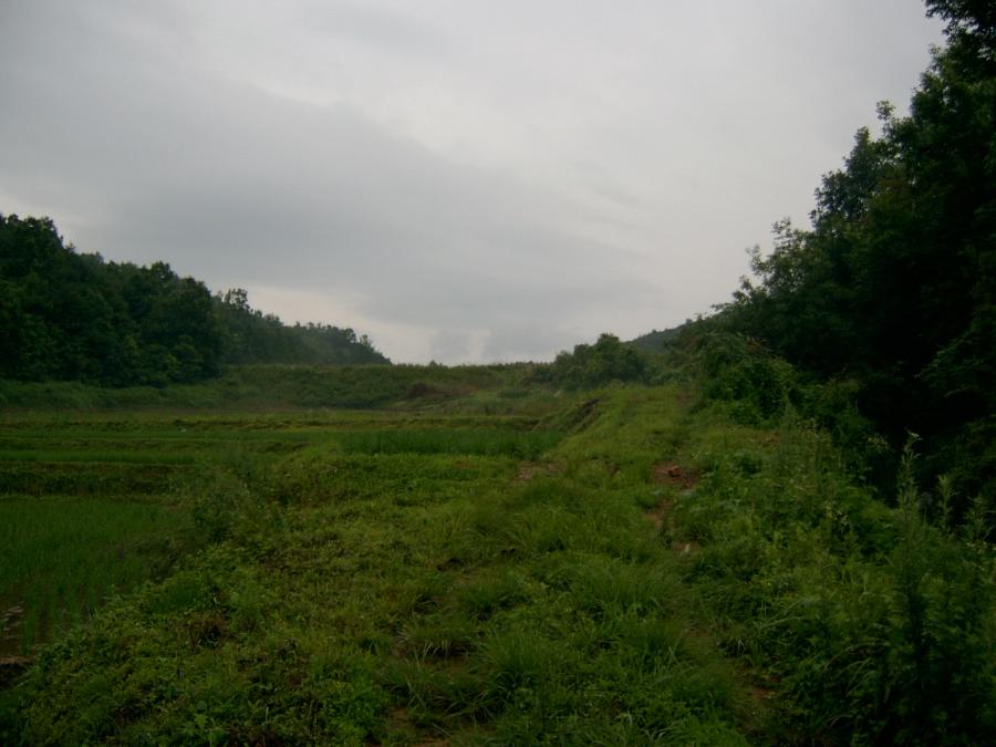 SV400004.JPG