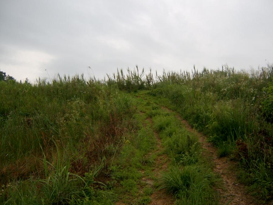 SV400005.JPG