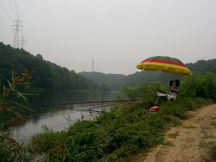 SV400035.JPG