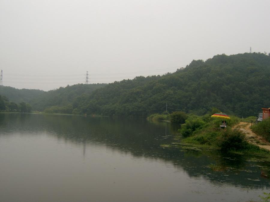 SV400037.JPG