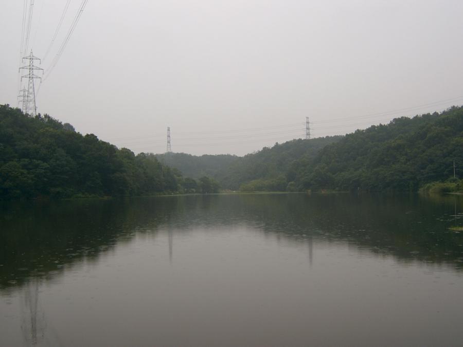 SV400039.JPG