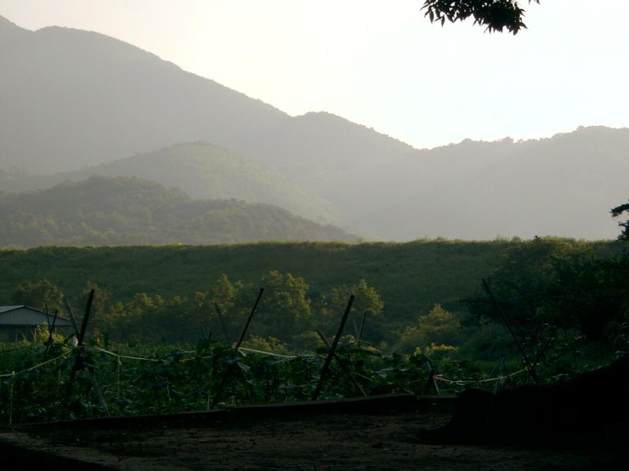 SV400008.JPG