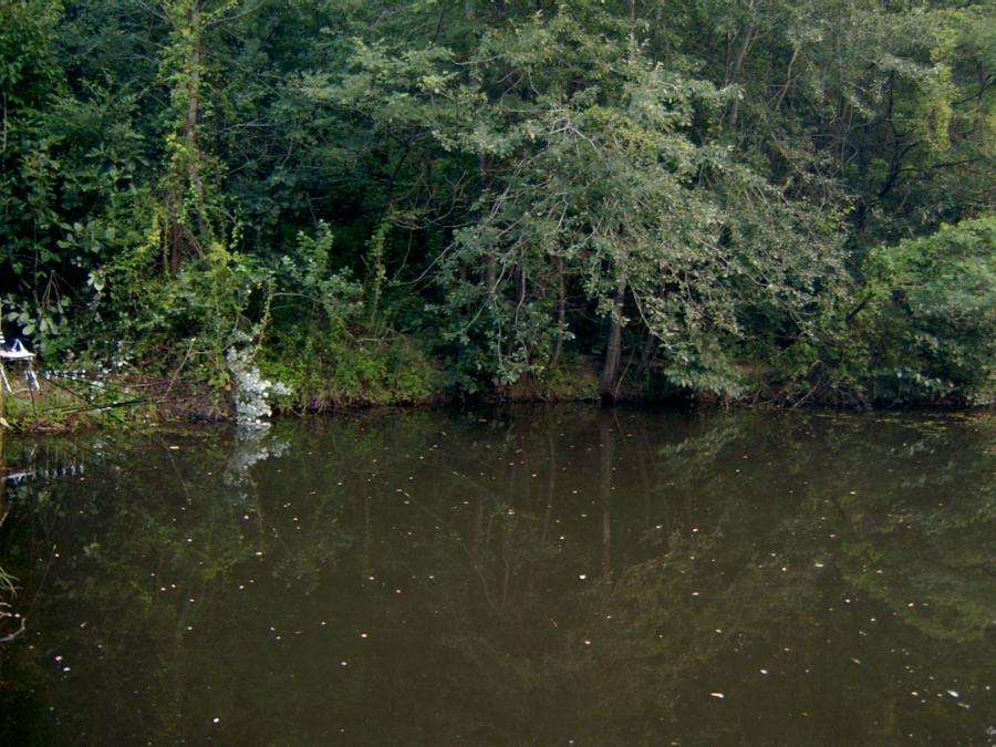 SV400028.JPG