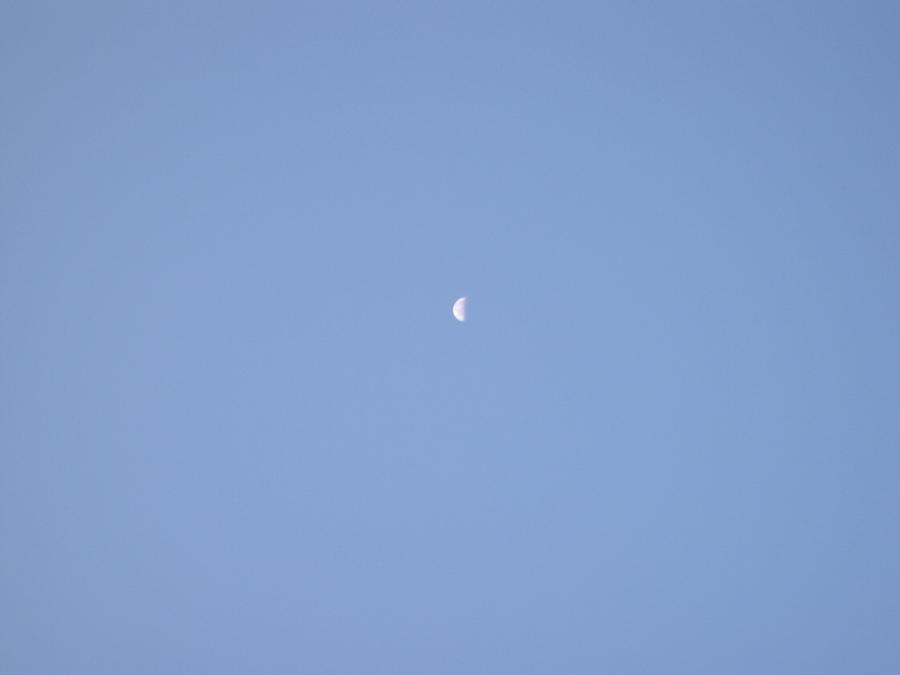 SV400039.JPG