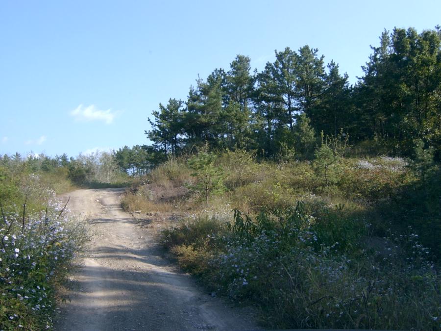 SV400003.JPG